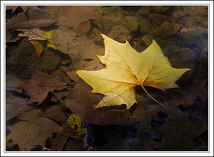 What Lies Beneath