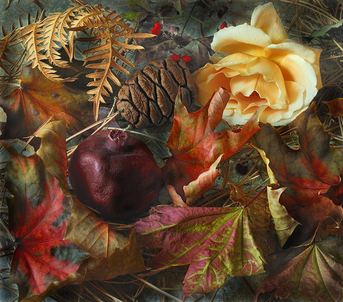 Fall Collection