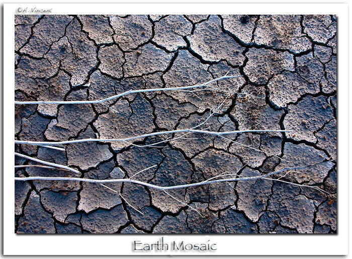 Earth Mosaic