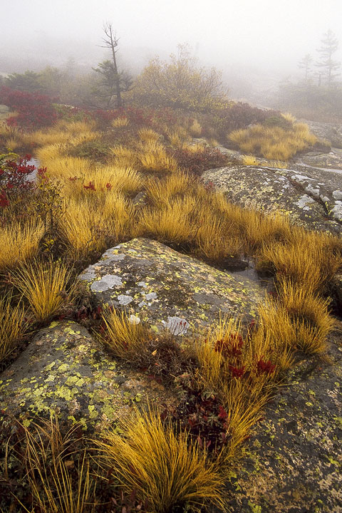 Cadilac Mtn., Maine