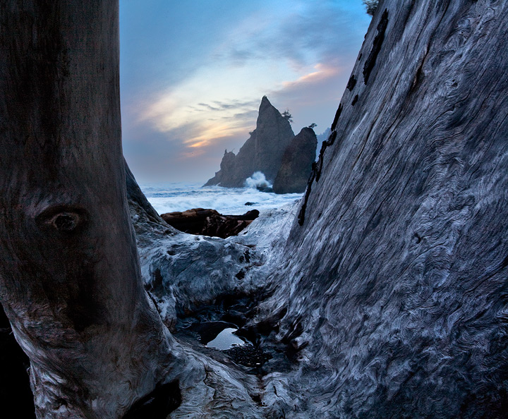 High Tide - Rialto Beach