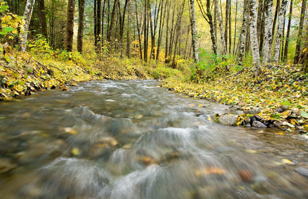 Cold Autumn Creek
