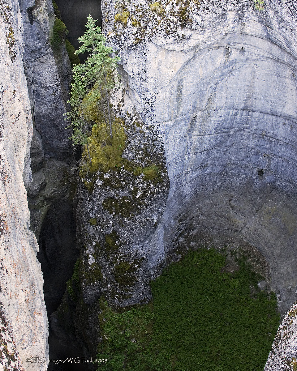 Deep Grotto