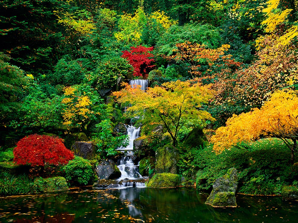 Japanese Gardens