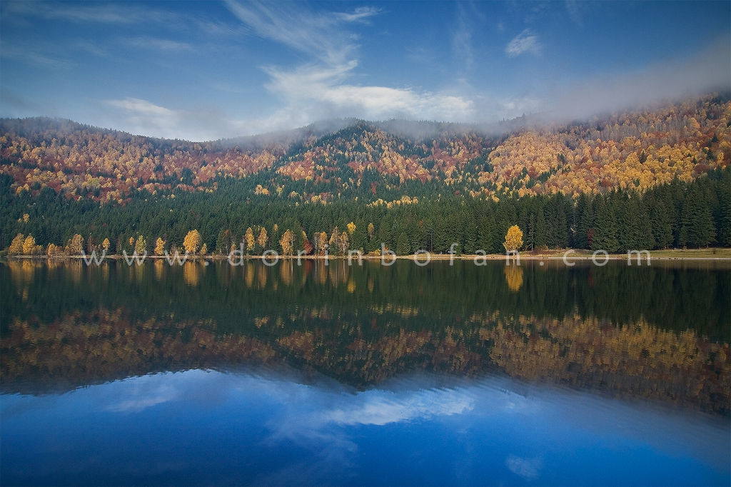 Autumn wonderland