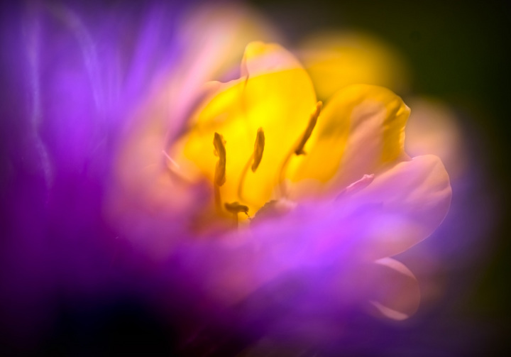 Color Abstract 1
