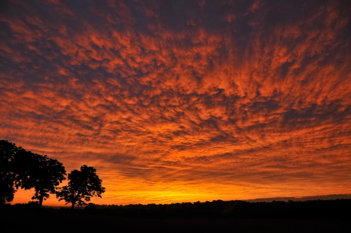 Morning Splendor
