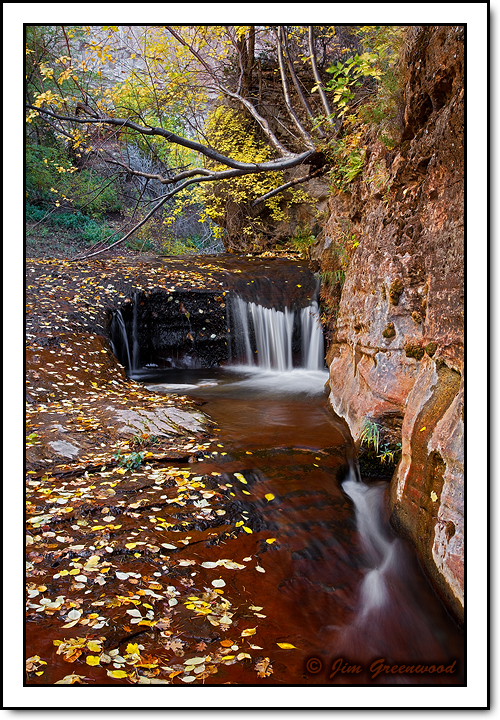 WC #406 - Left Fork