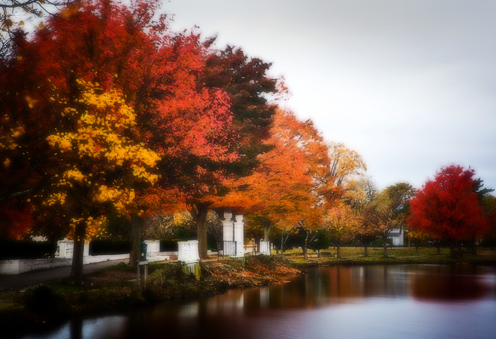 Argyle Lake Autumn I