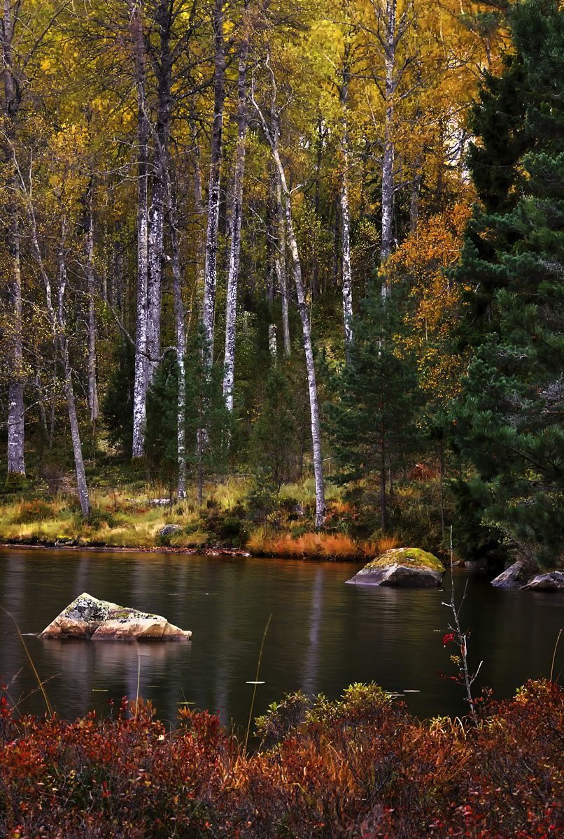 Autumn in Tiveden