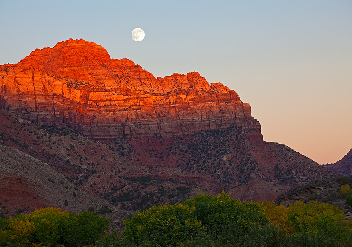 Zion Moonrise