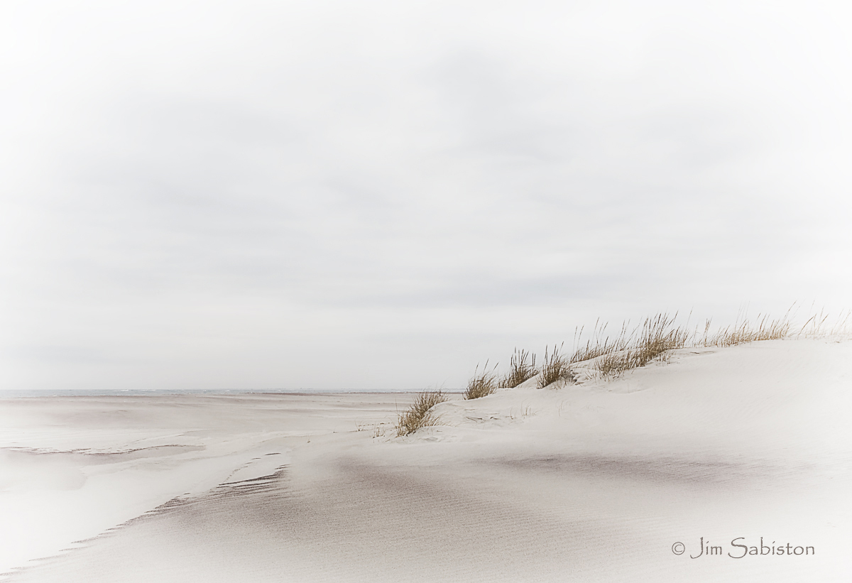 Windswept II