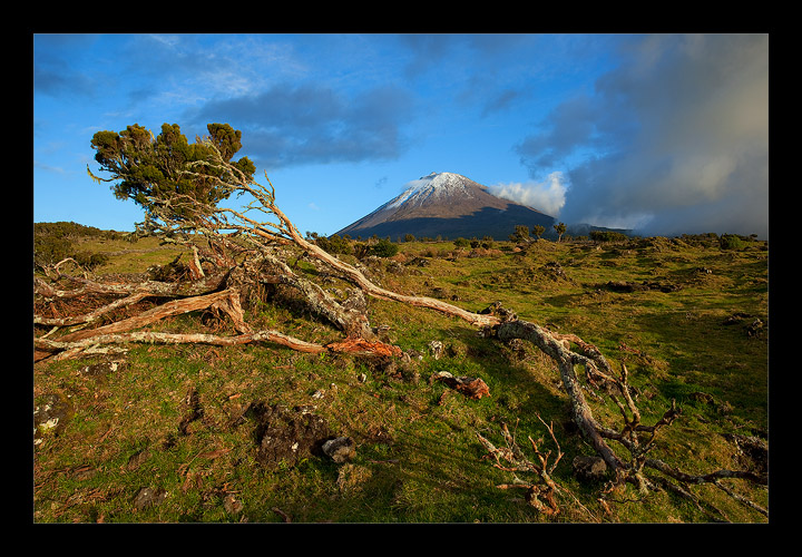 Pico Wilderness