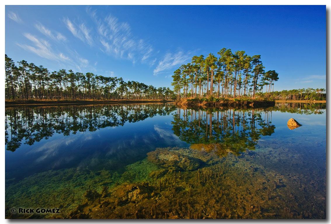 Clearly Everglades