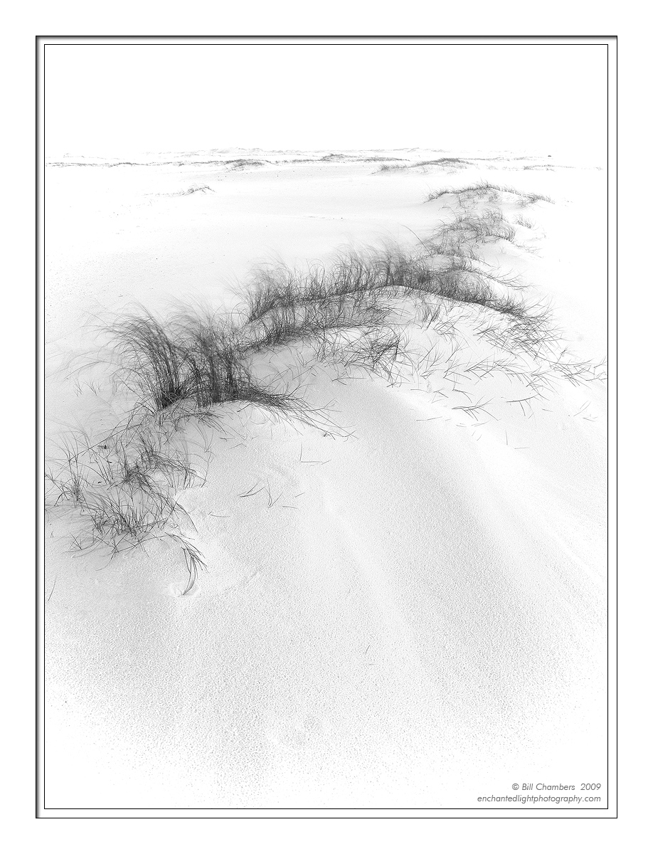 Blowing Dune