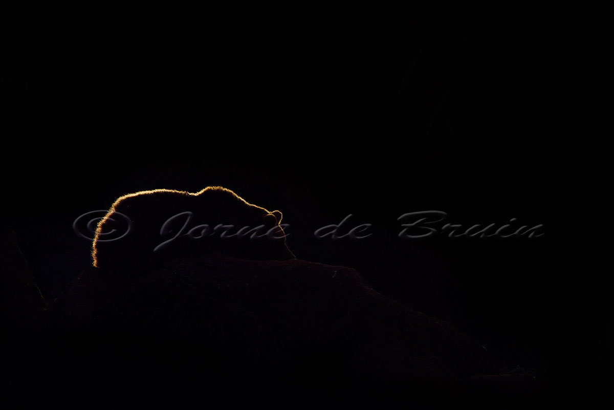 (c) Sentinel at Dusk