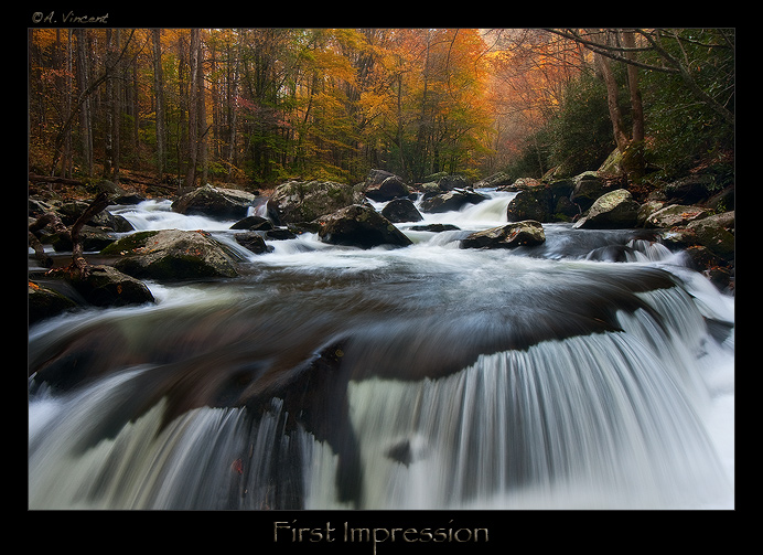 First Impression + bw