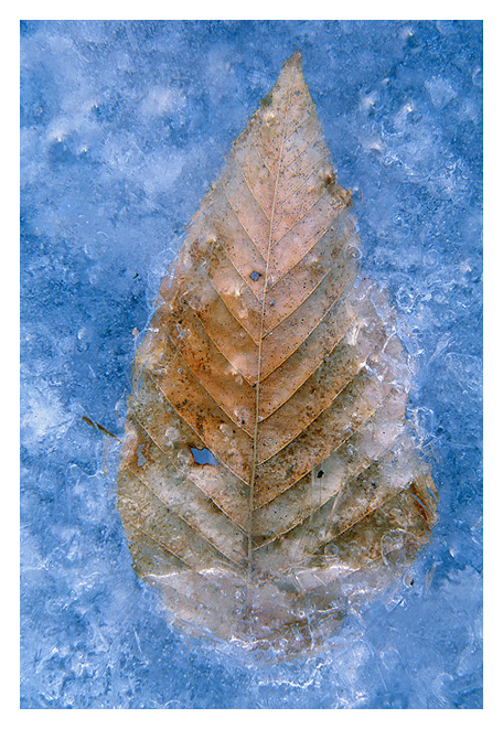 Winters Grip
