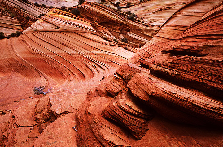 Sandstone kingdom