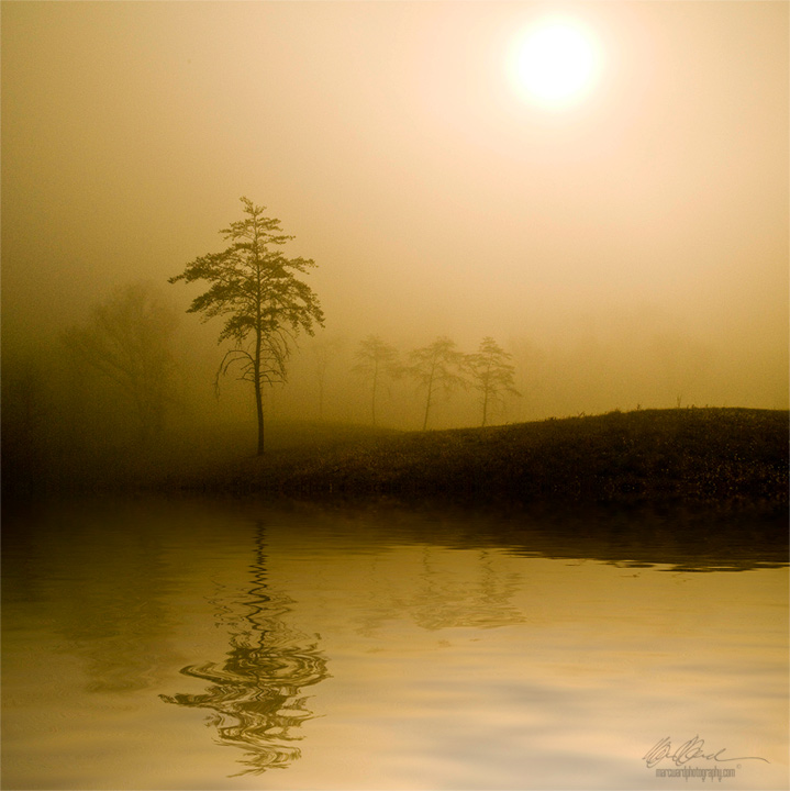 Reflected Foggy Sunrise