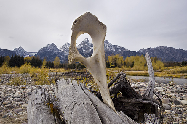 Foramen the Tetons