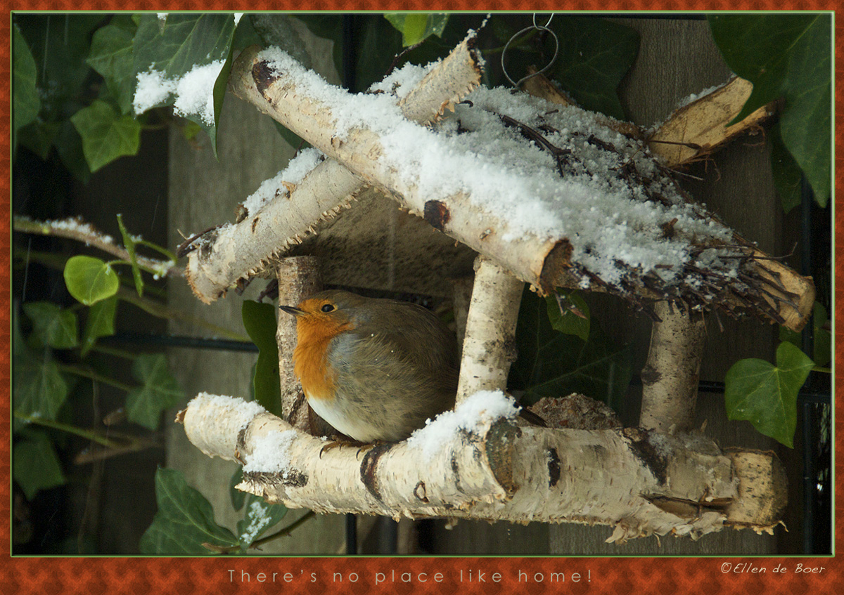 Season greetings!