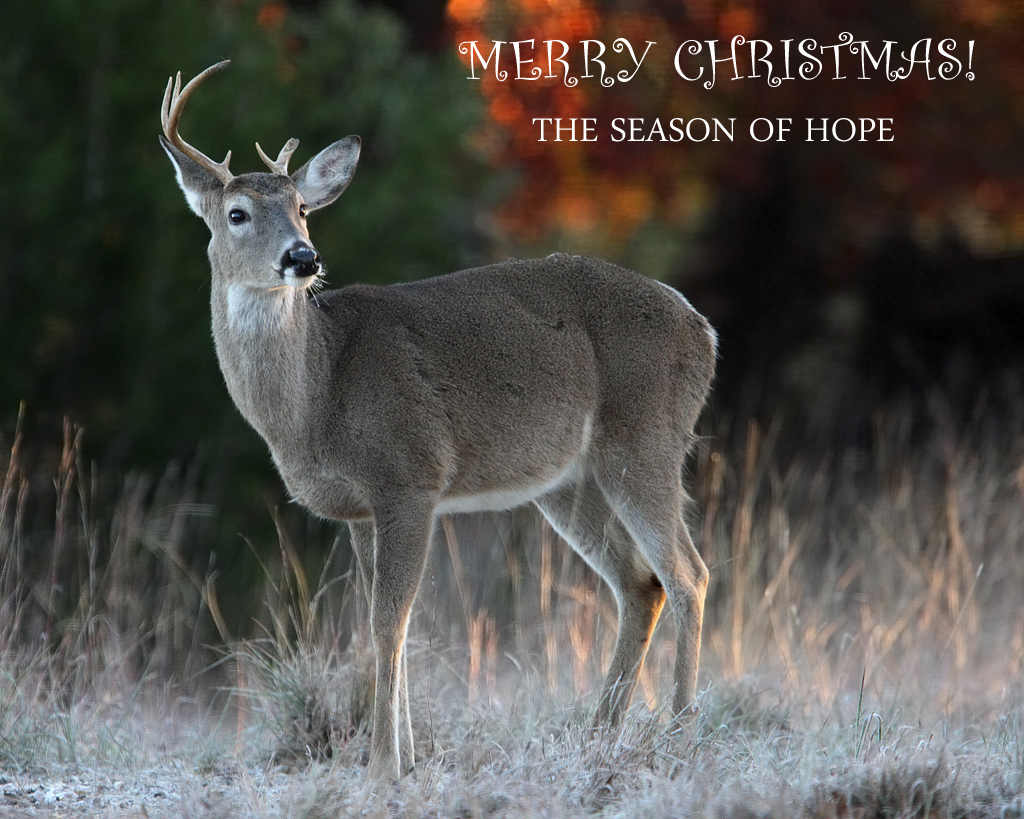 Hope
