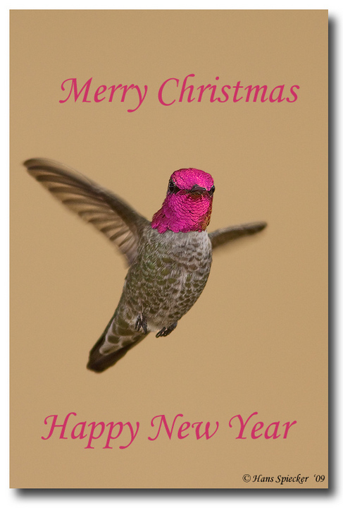 Merry Christmas!