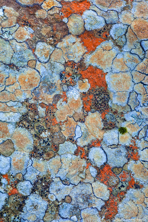 Rock Art (+repost)