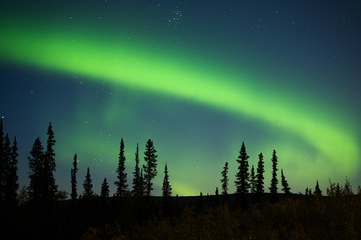 Borealis