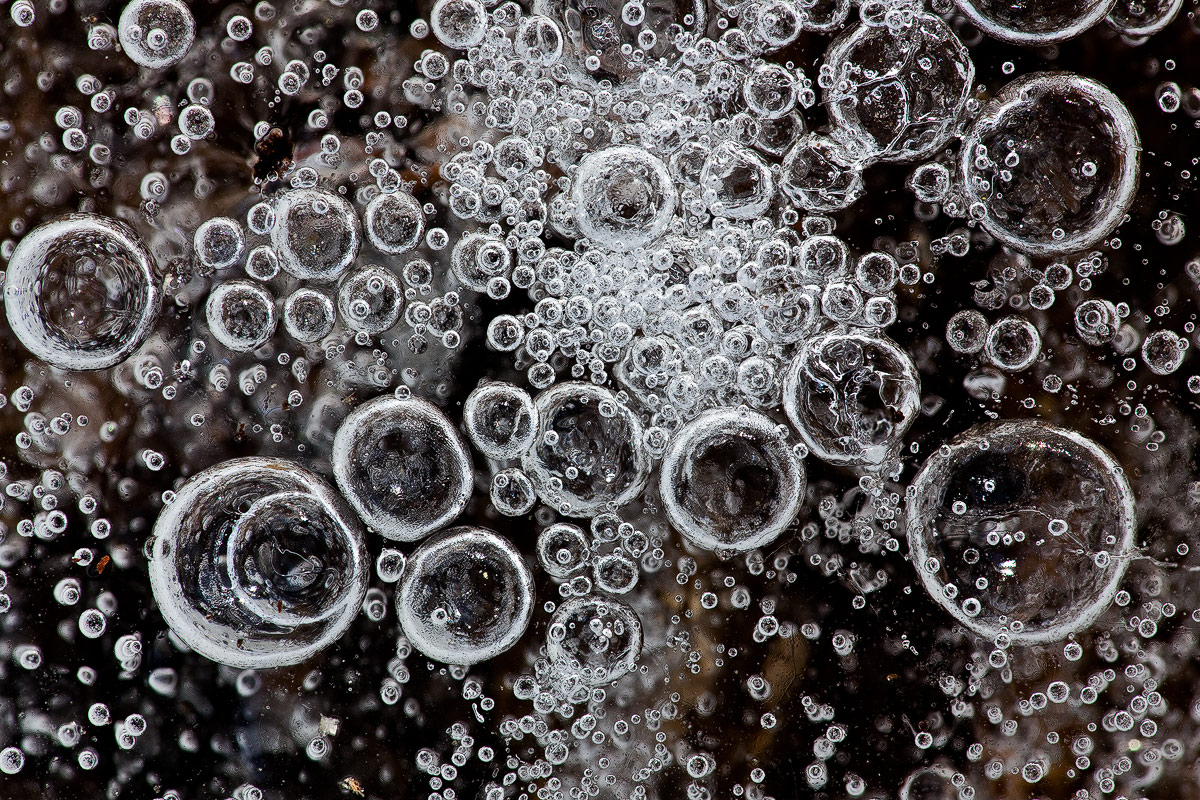 Bubbly + B&W + Cool