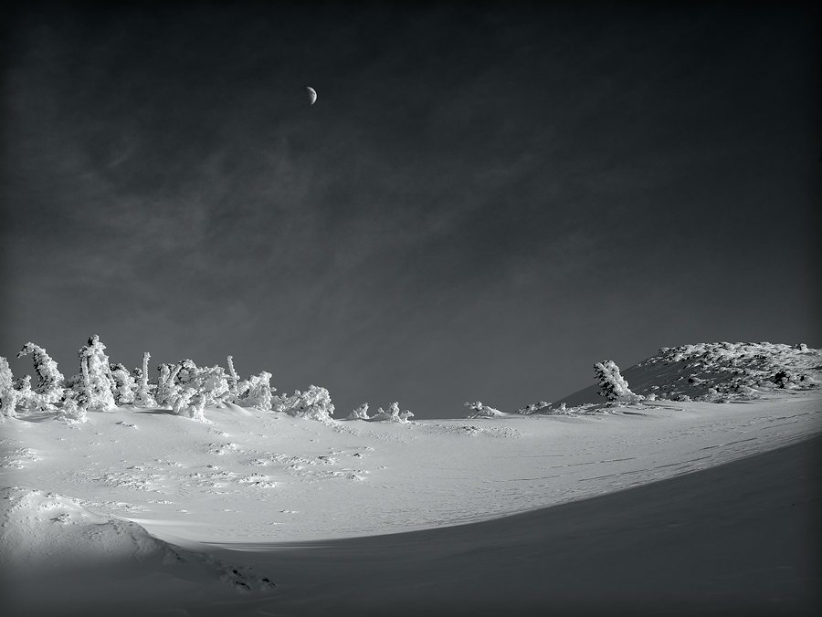 Winterland #2