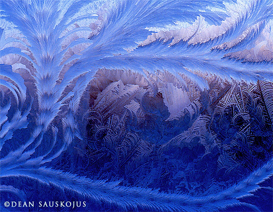 Feathered Ice