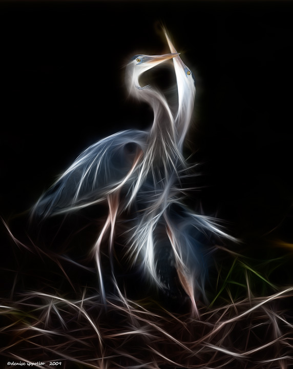 GBH's