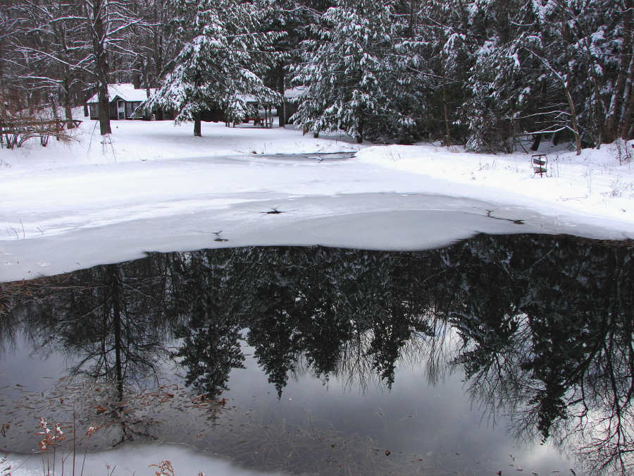 Country Snow Globe