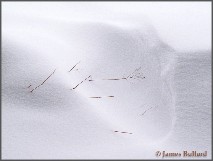 Wind Form
