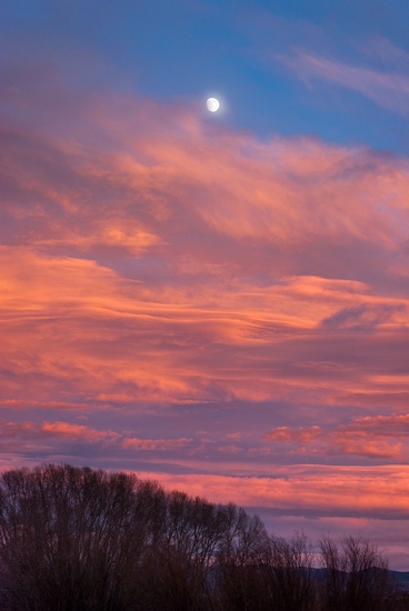 WC412 Big Sky Rhapsody