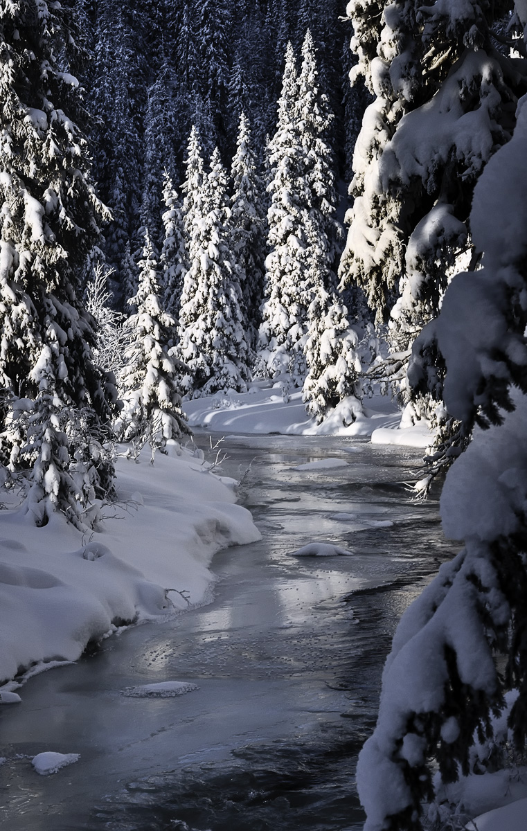 Cold Creek
