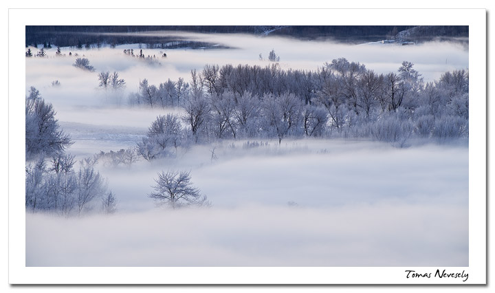 Fog in the Valley