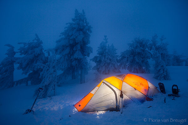 In a Frozen Fairytale
