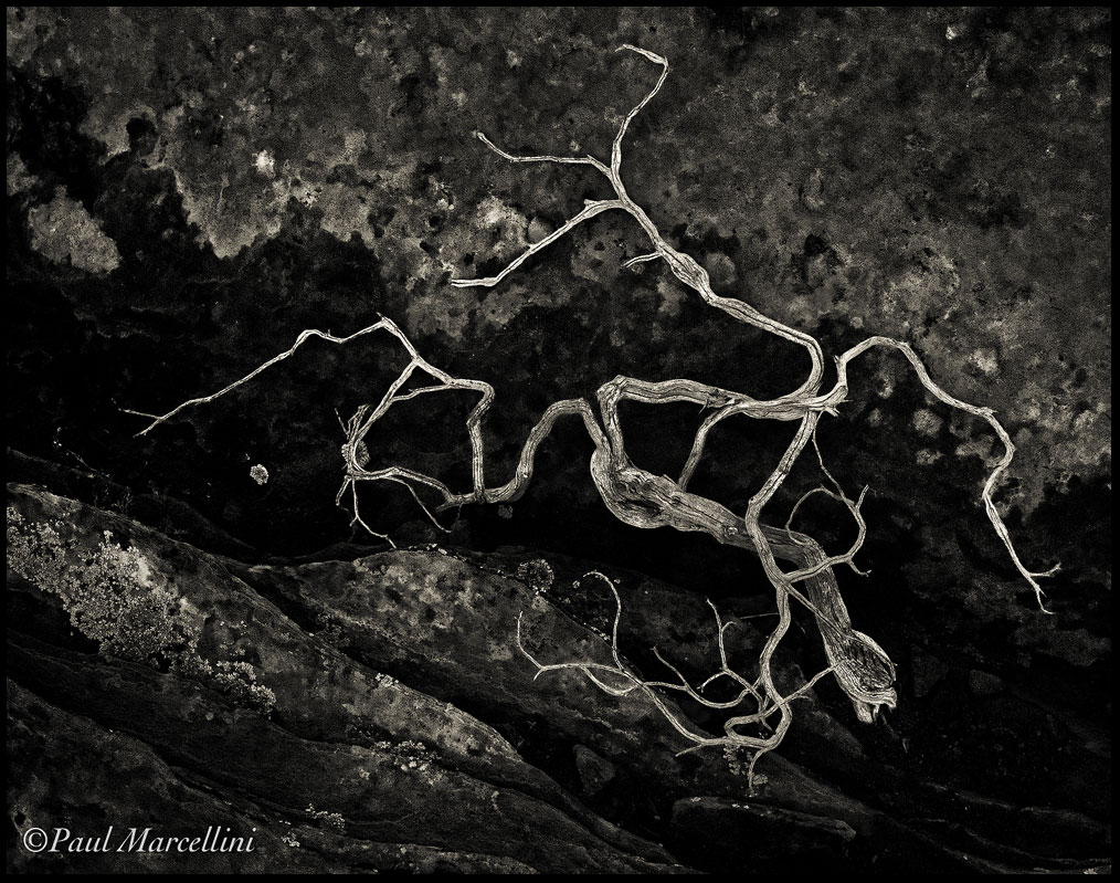 Tortured