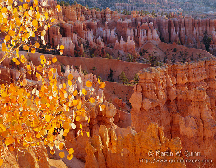 Fall in Bryce