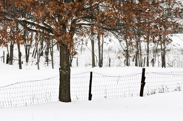Winter in the Country