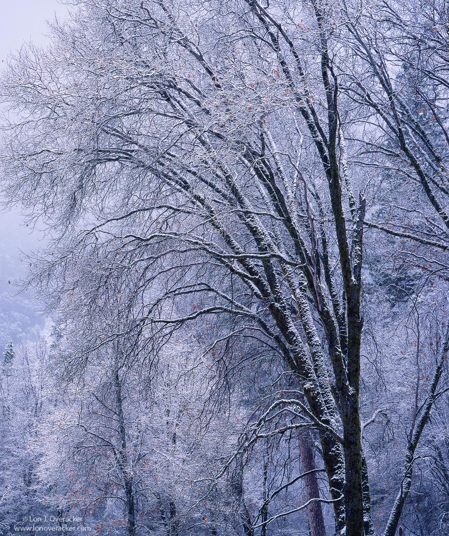 A Light Winter's Jacket