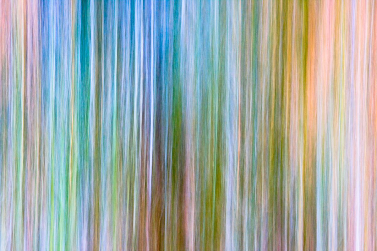 Blazing Grasses