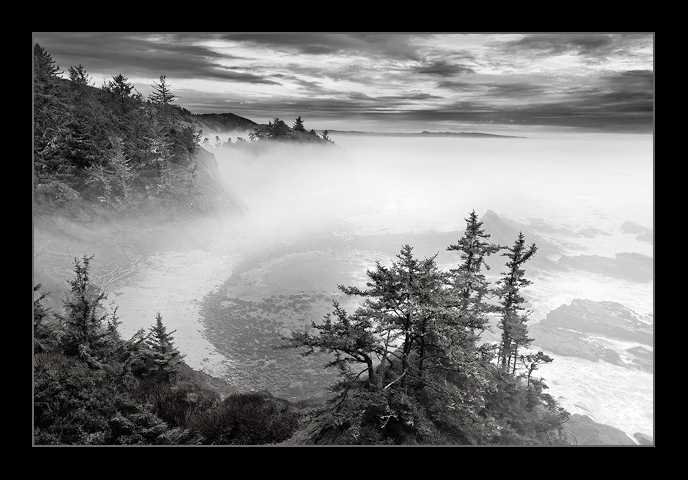 Cape Arago, Winter Fog