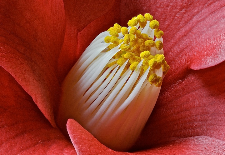 Aglow