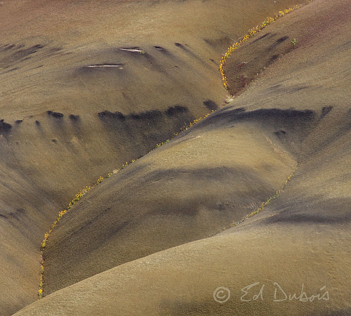 WC417 Painted Hills
