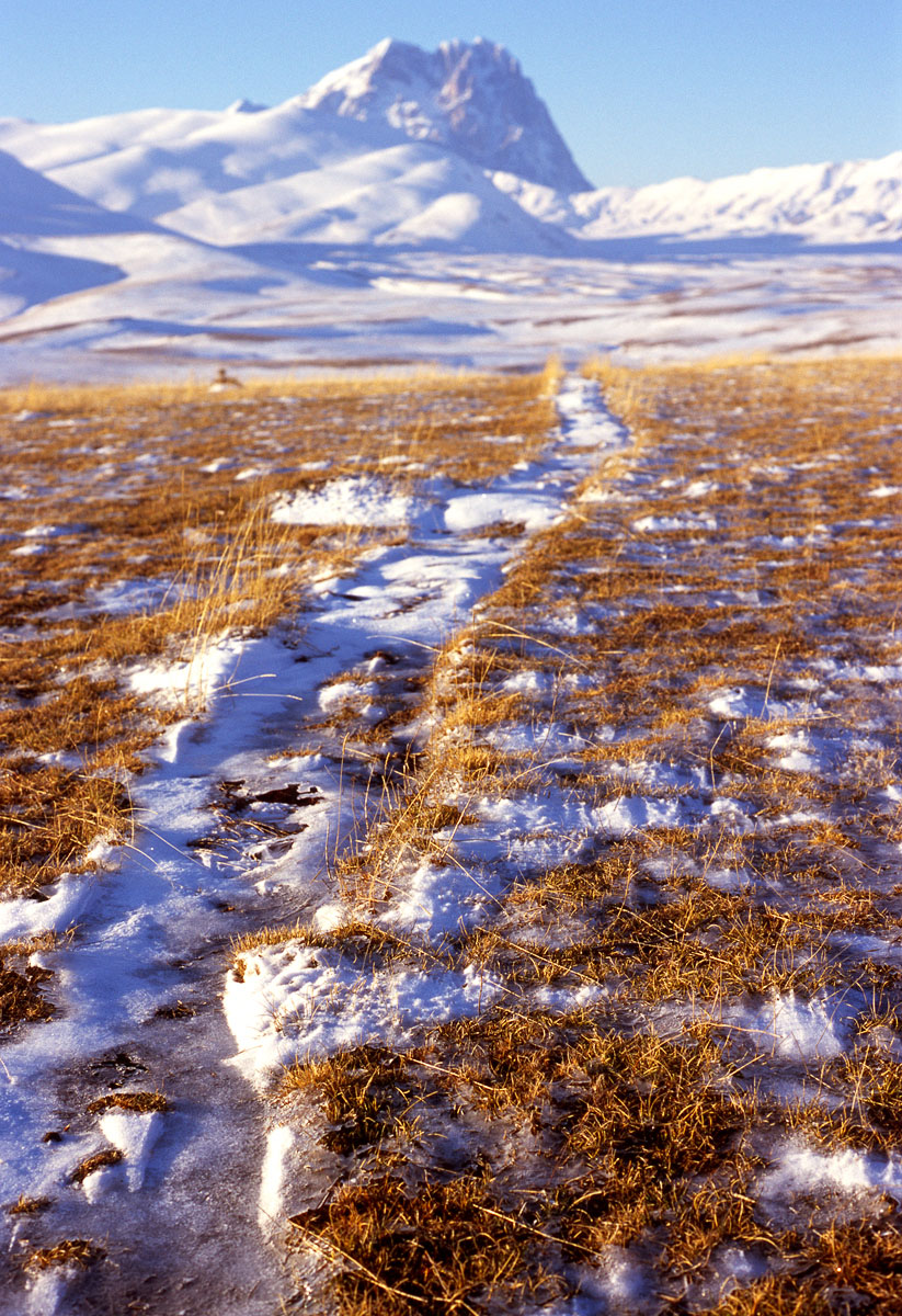 Frozen path