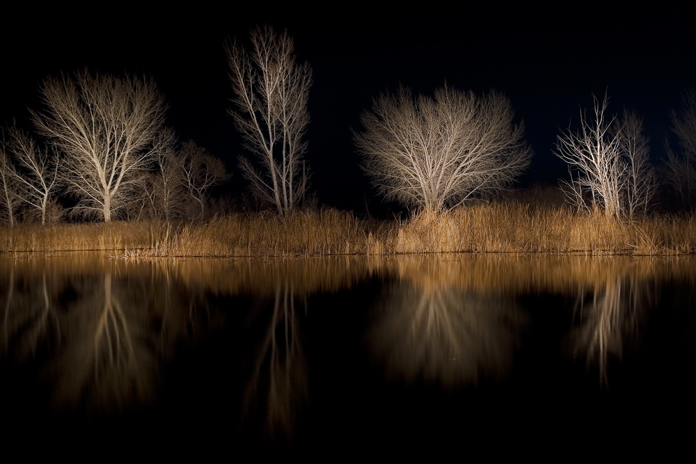 Pond Painting
